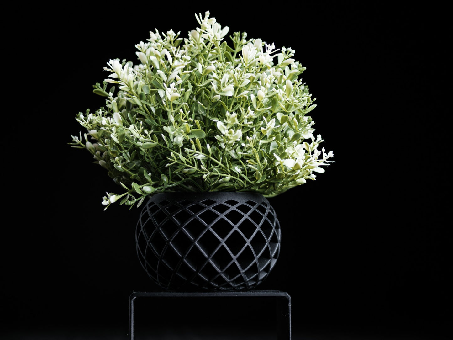 Evolve Planter